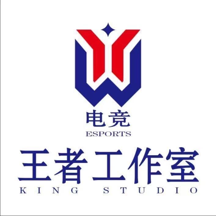 王者荣耀Wy（电竞）