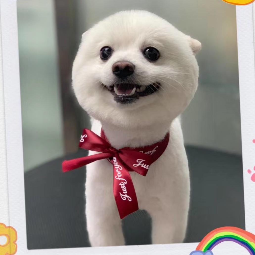 小鱼干儿