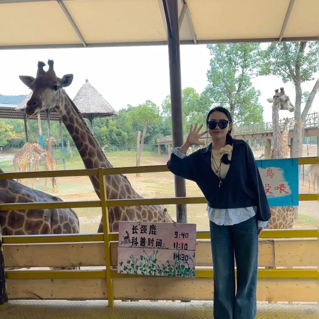 小叶要比耶✌️