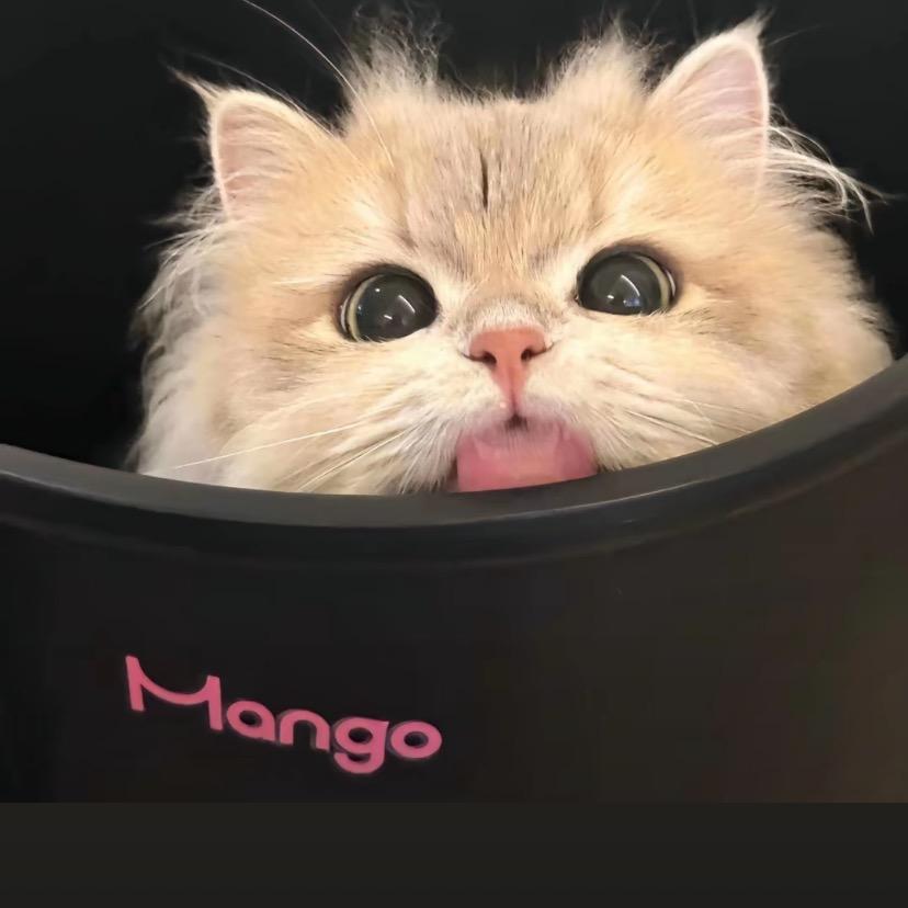 只玩安琪瞎的安琪拉