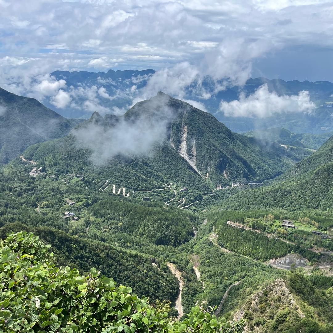 蒋春艳❤️💛💚顺丰驿使