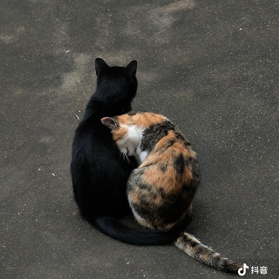 ……天天开心呀bb