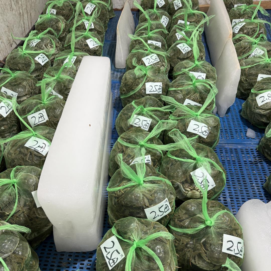 南京振通水产有限公司官方号