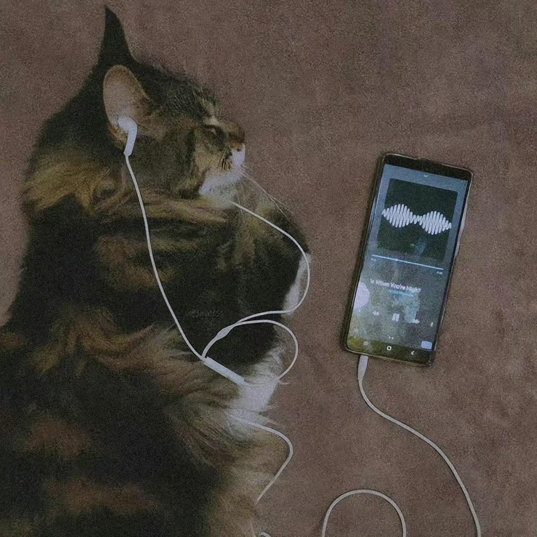 停止反问