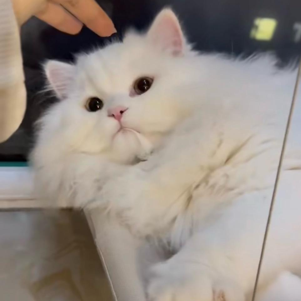 扬州超狠心男子