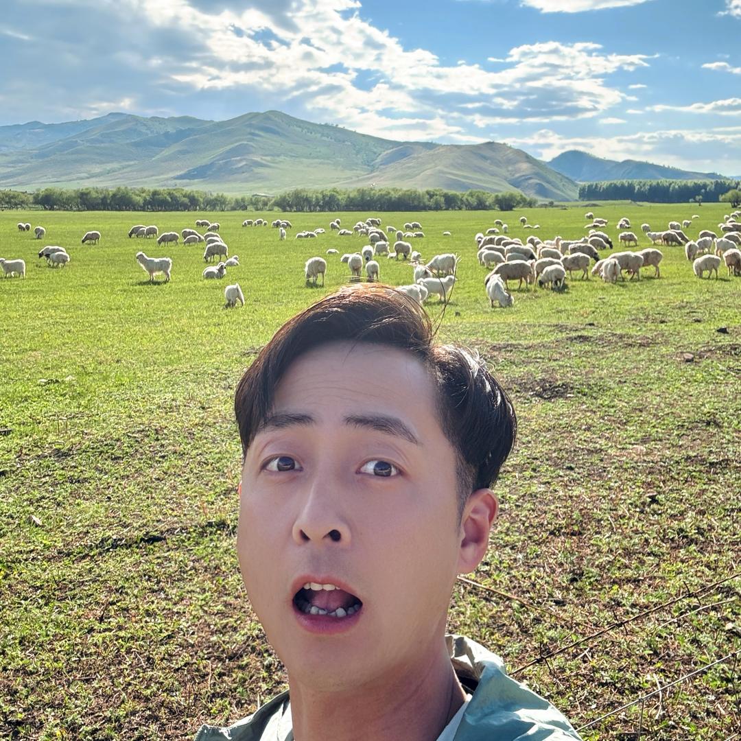 桃花江土黄牛（老左）