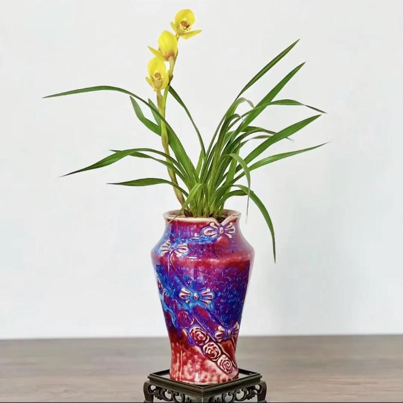 薏植花卉