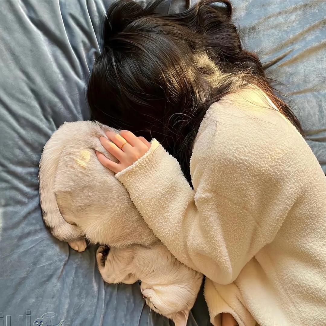 不爱吃眼泪拌饭