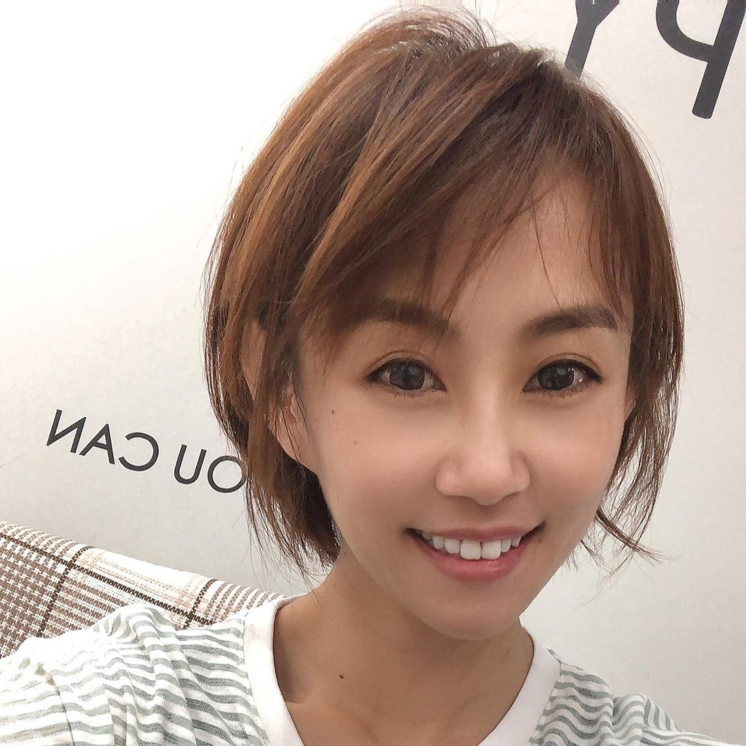 燕子教学