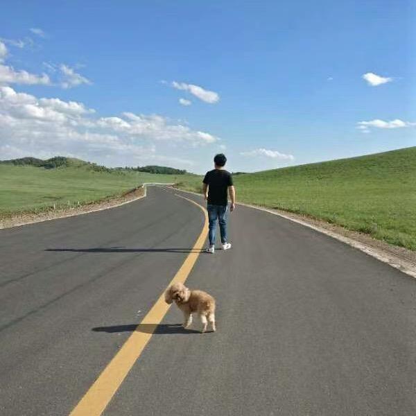 旭航家居地毯