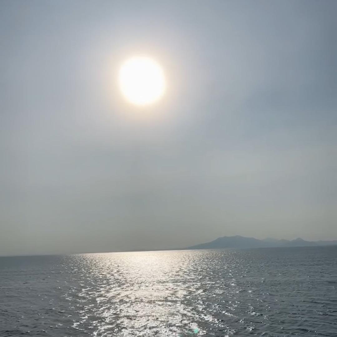 君（金厢本港海鲜）