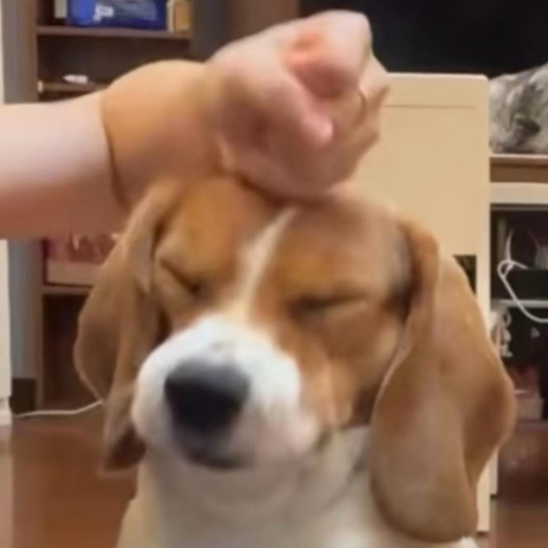 我会心想事成