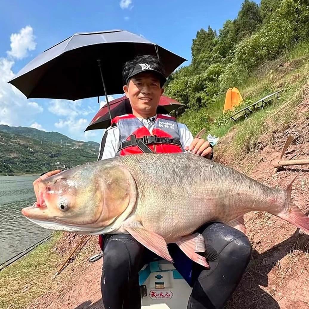 豪哥钓鱼🎣