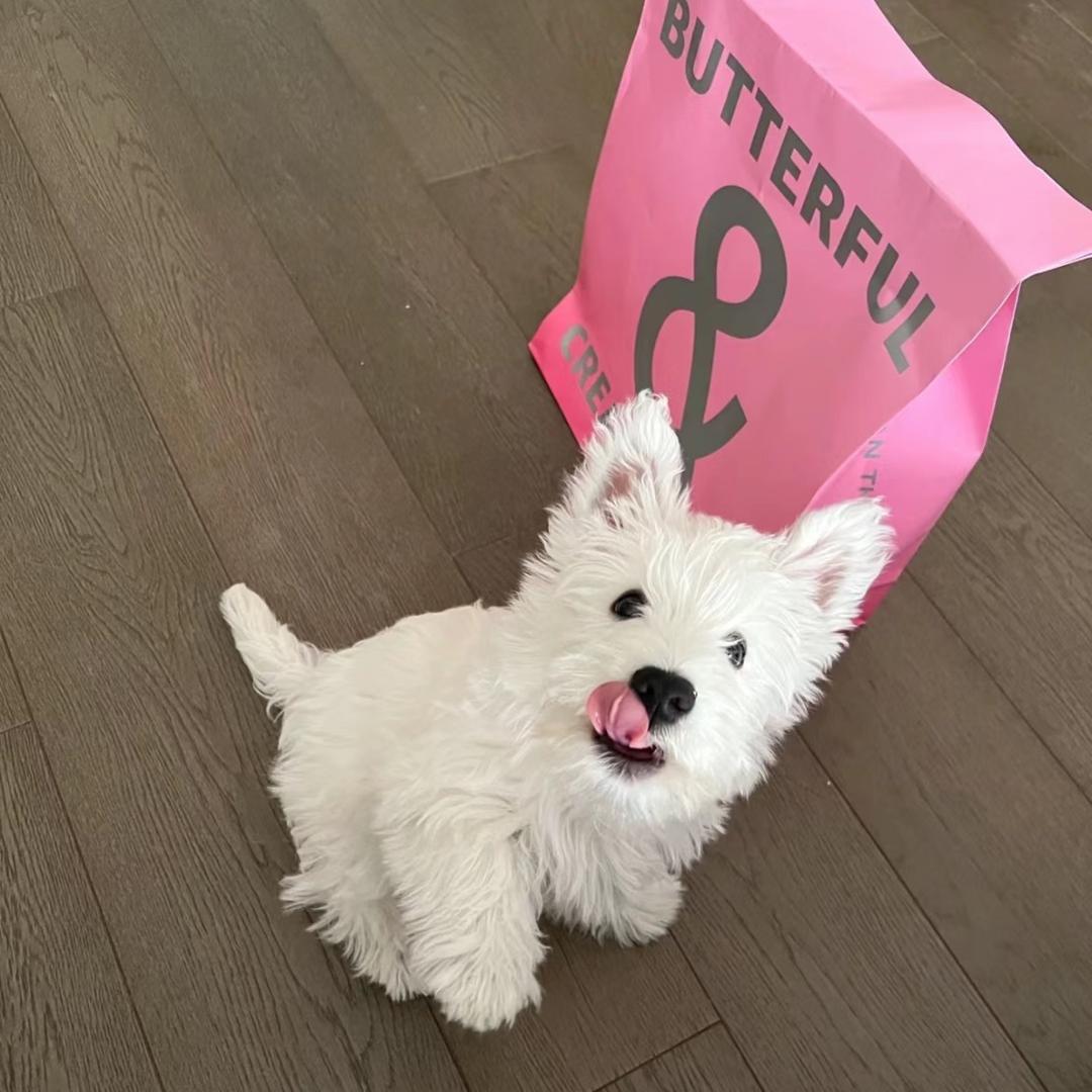 小熊不吃饼干！