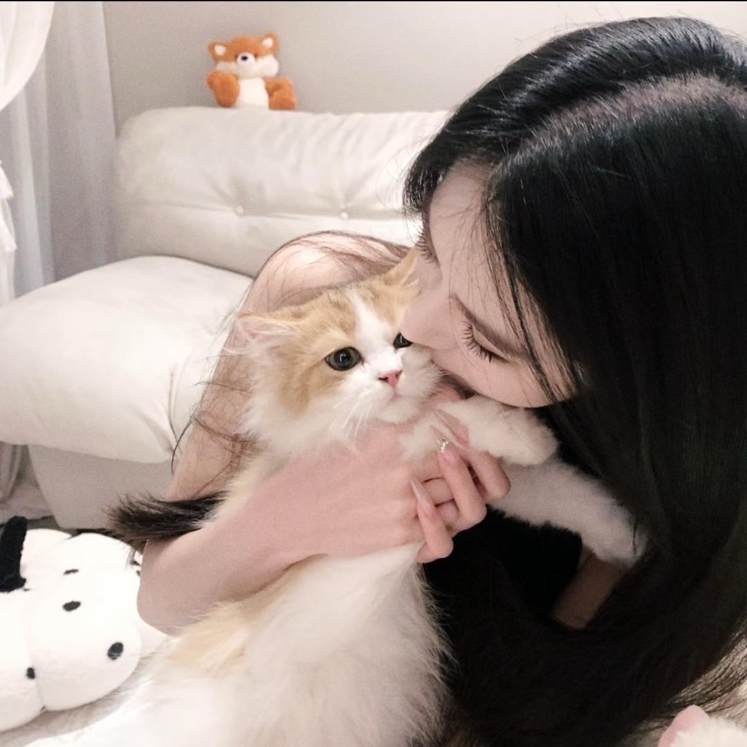 我爱冰淇淋