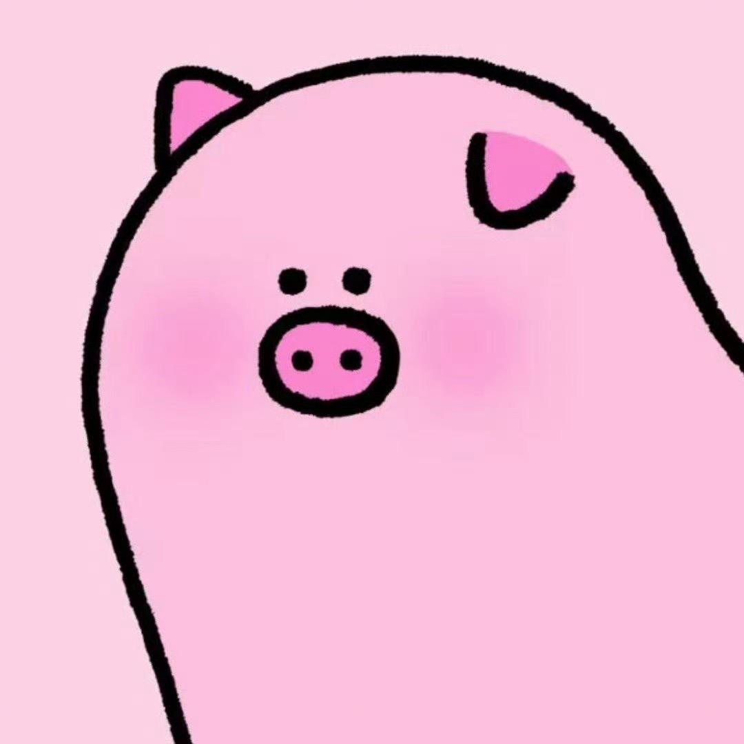 明星车队｜花猪儿悦曼辉