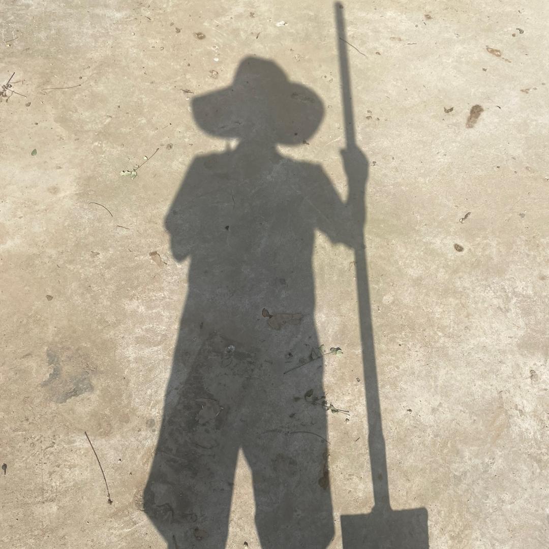 青  山   在（项目筹备中）