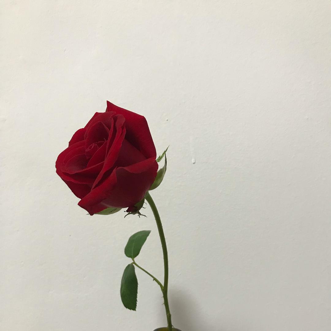 我就是我！！