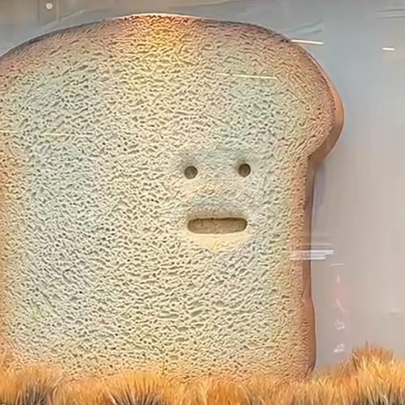 多lian（养生版）📚