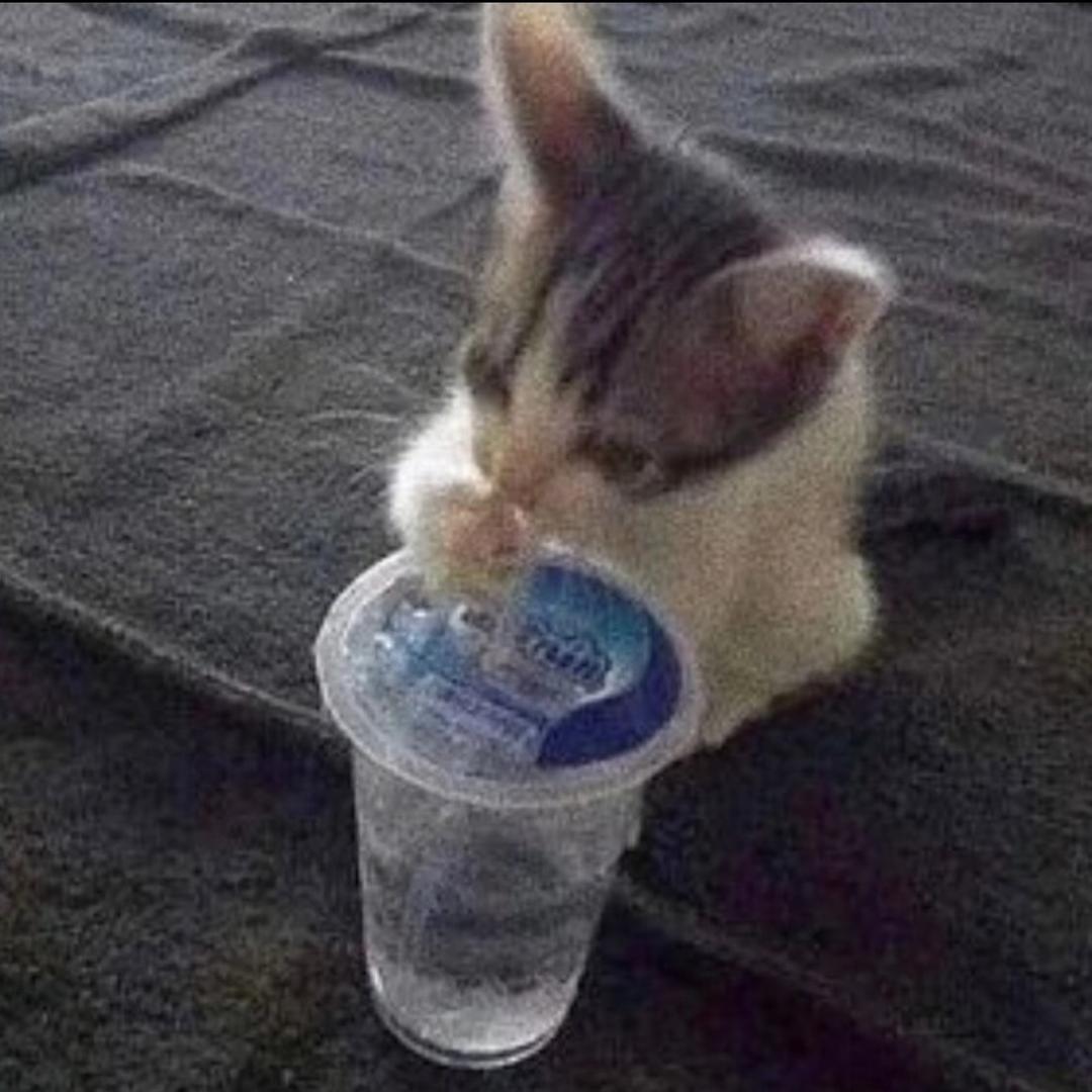 龙._