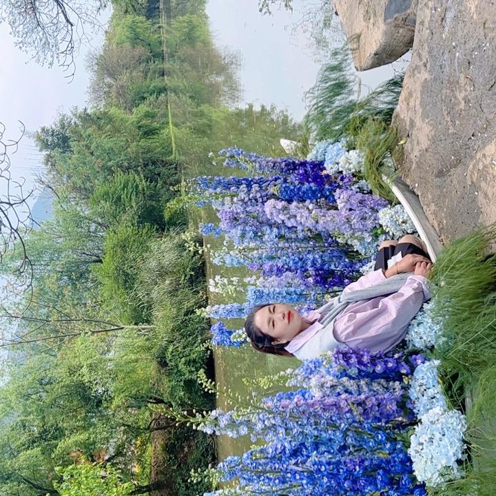 一廂成愿终成错_1847604937