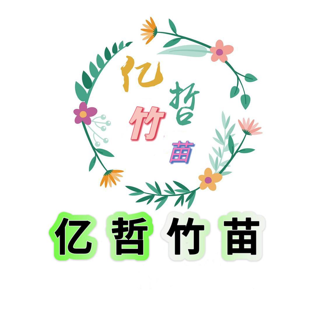 亿哲竹苗