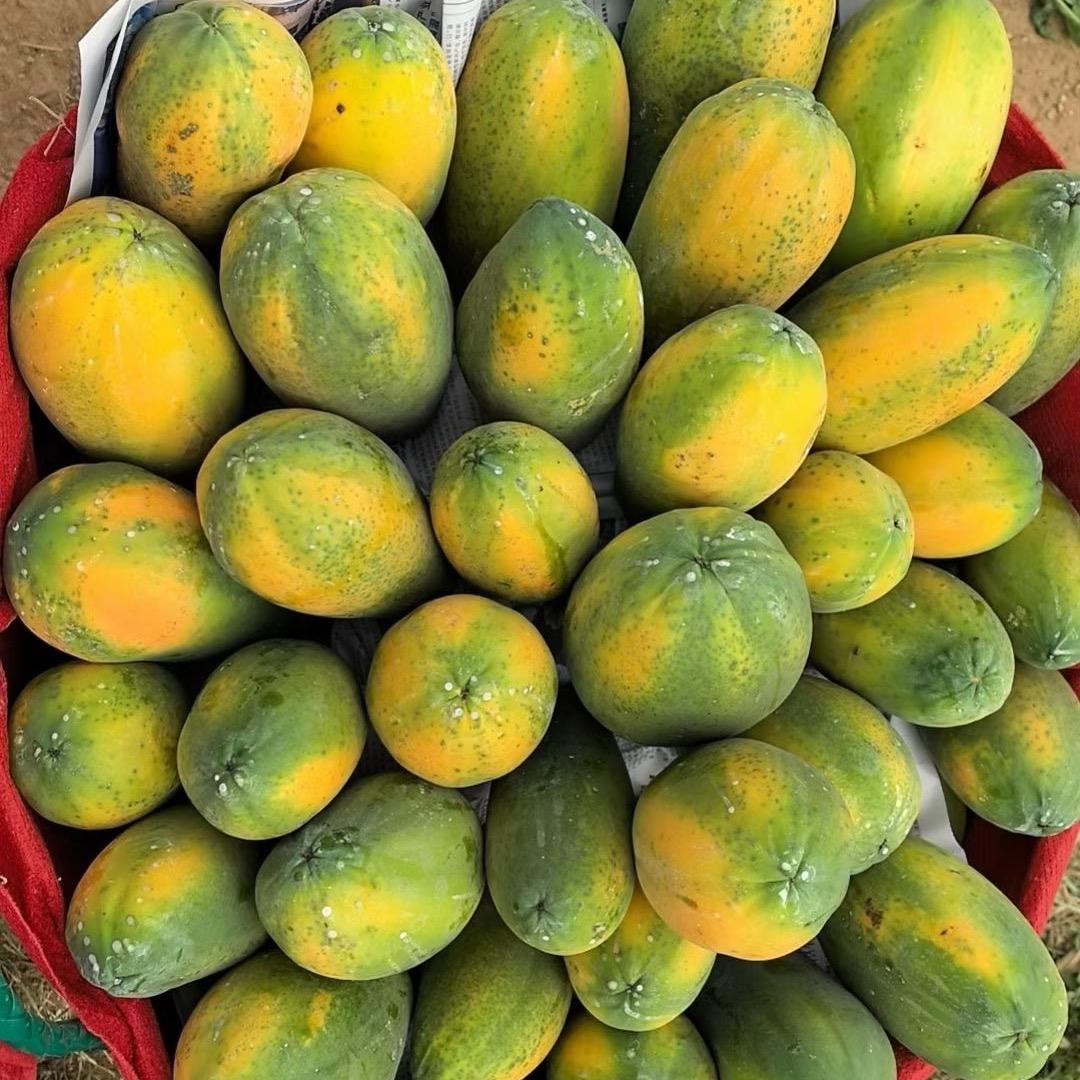 农佳味果蔬甄选坊