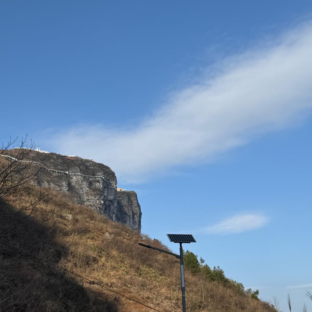 金子飞翔野
