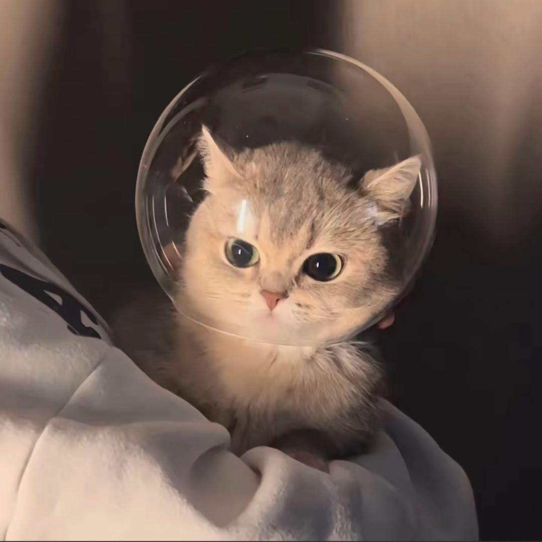 星星