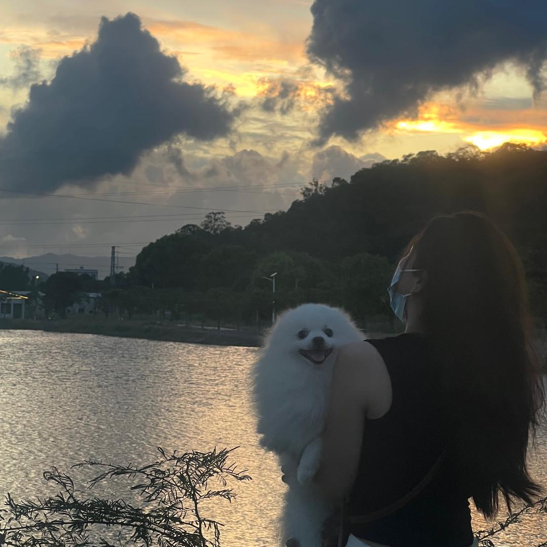 林大美