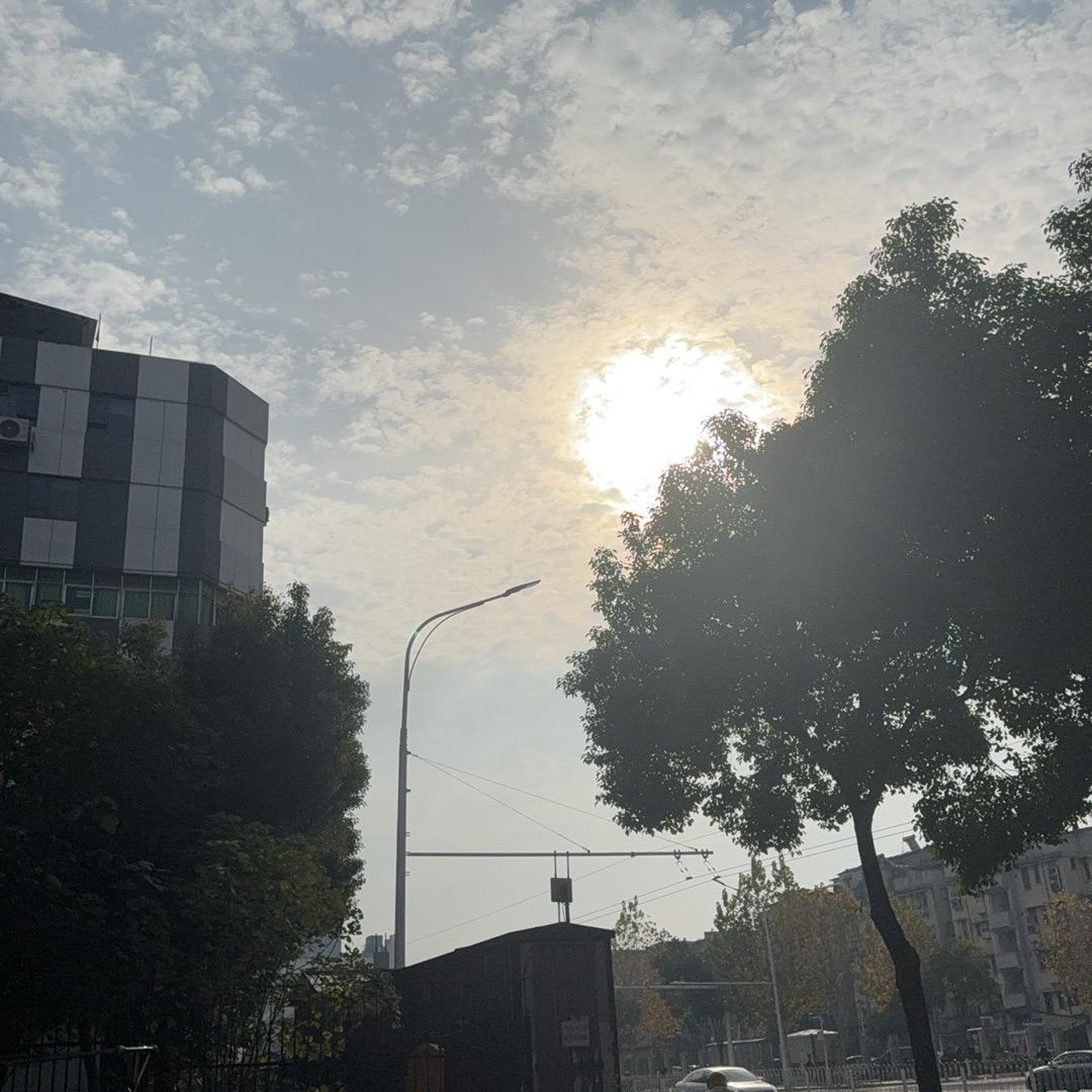 我也不太了解她