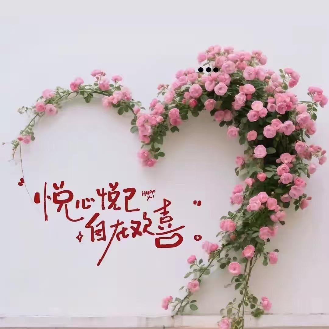 乖兔就不乖