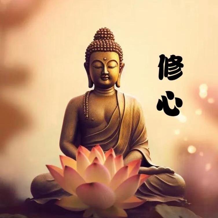 鑫露驾驶证报名练车场