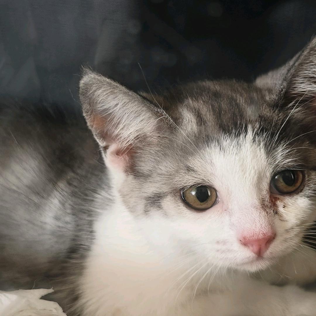 米姐姐(品牌折扣保温杯)