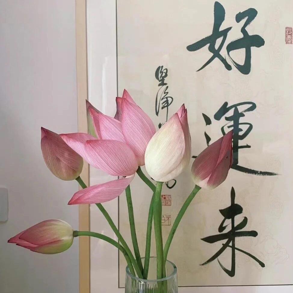 好运来..