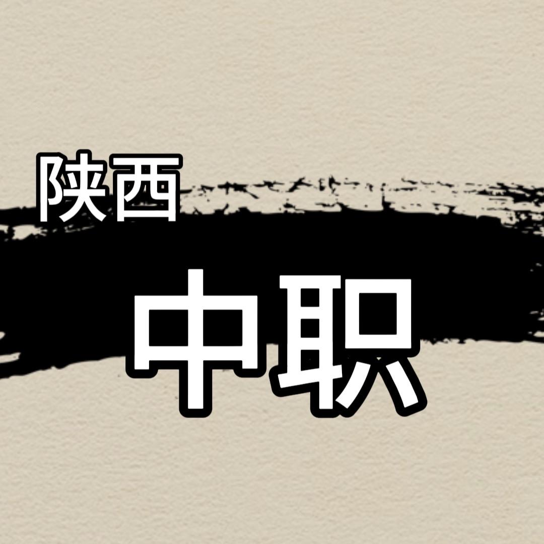 陕西中职教育咨询