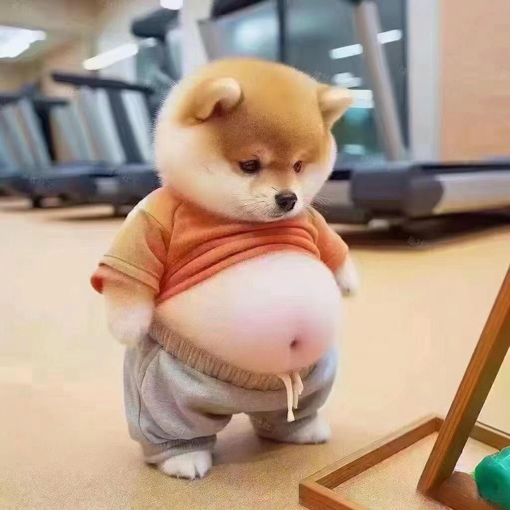 @𝓛𝓲𝓽𝓲𝓪𝓷 .