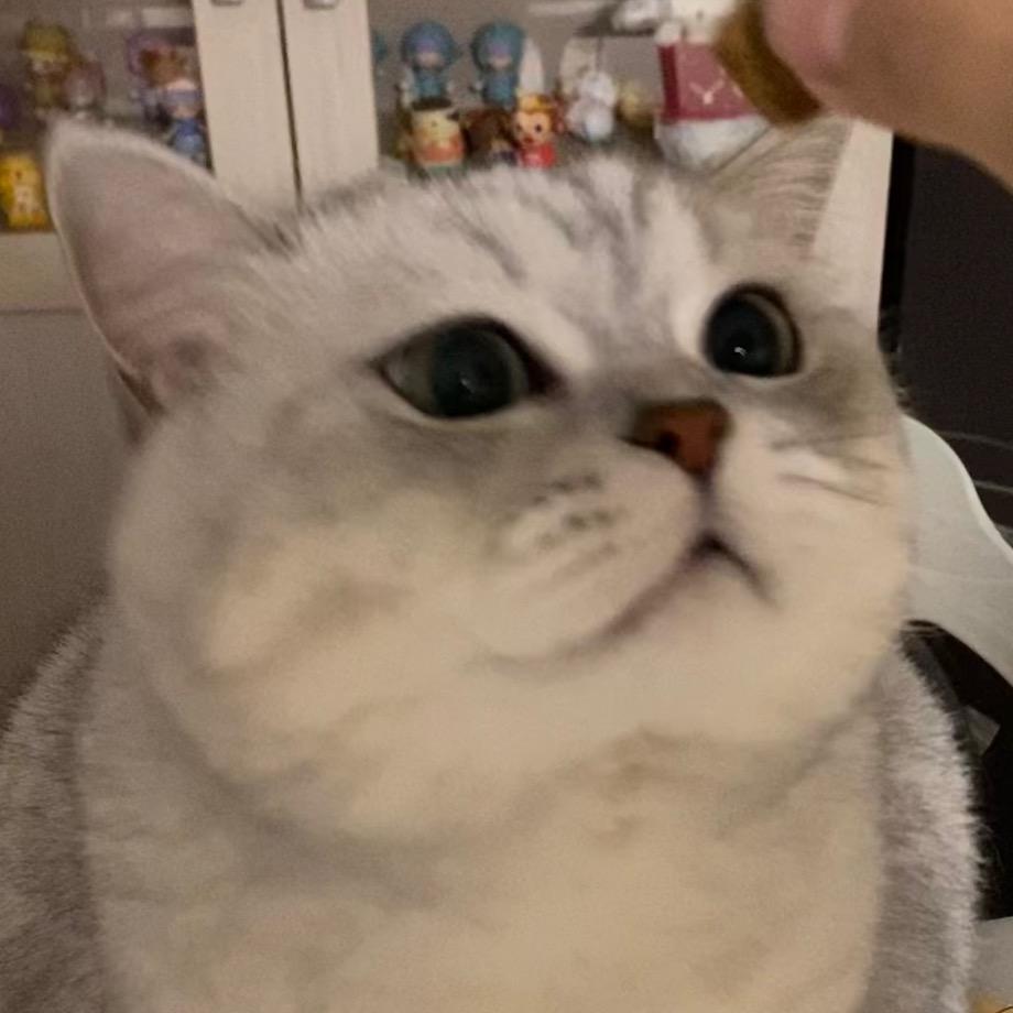 是千禧不是千玺