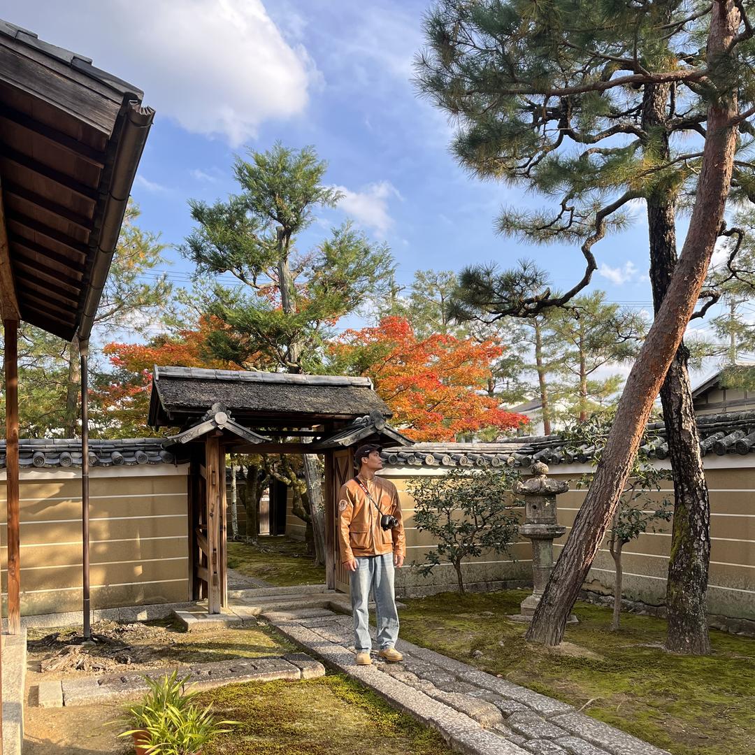 闲野盆景盆栽