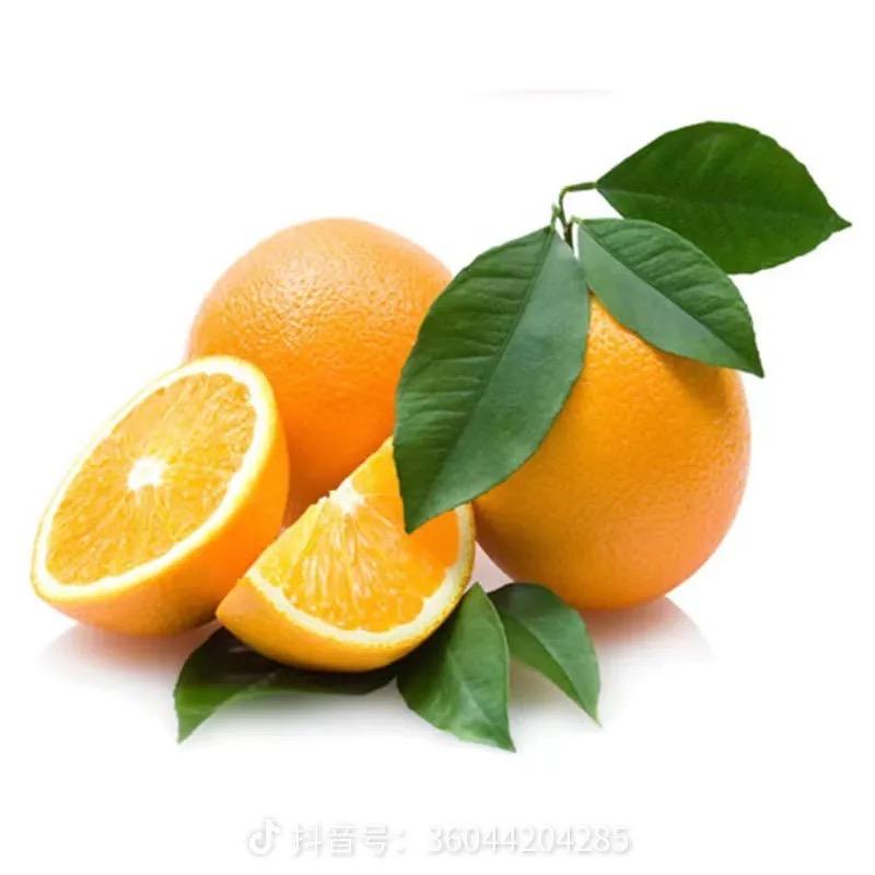 农品鲜果甄选