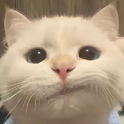 i o