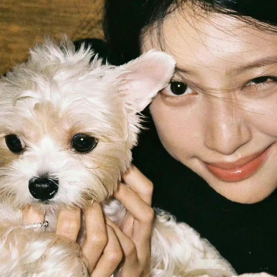 不迷糊才怪🤷‍♂️