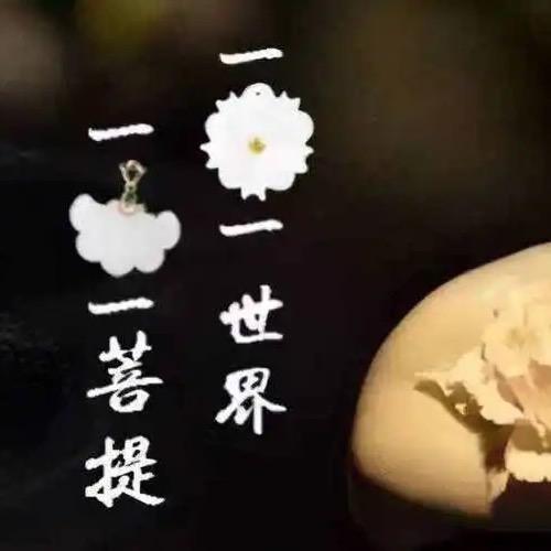 每日一醒