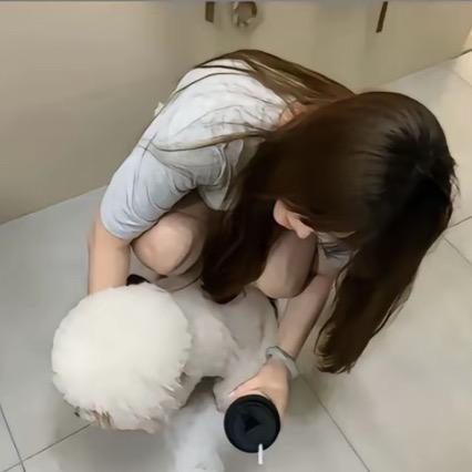 一只懒猫@