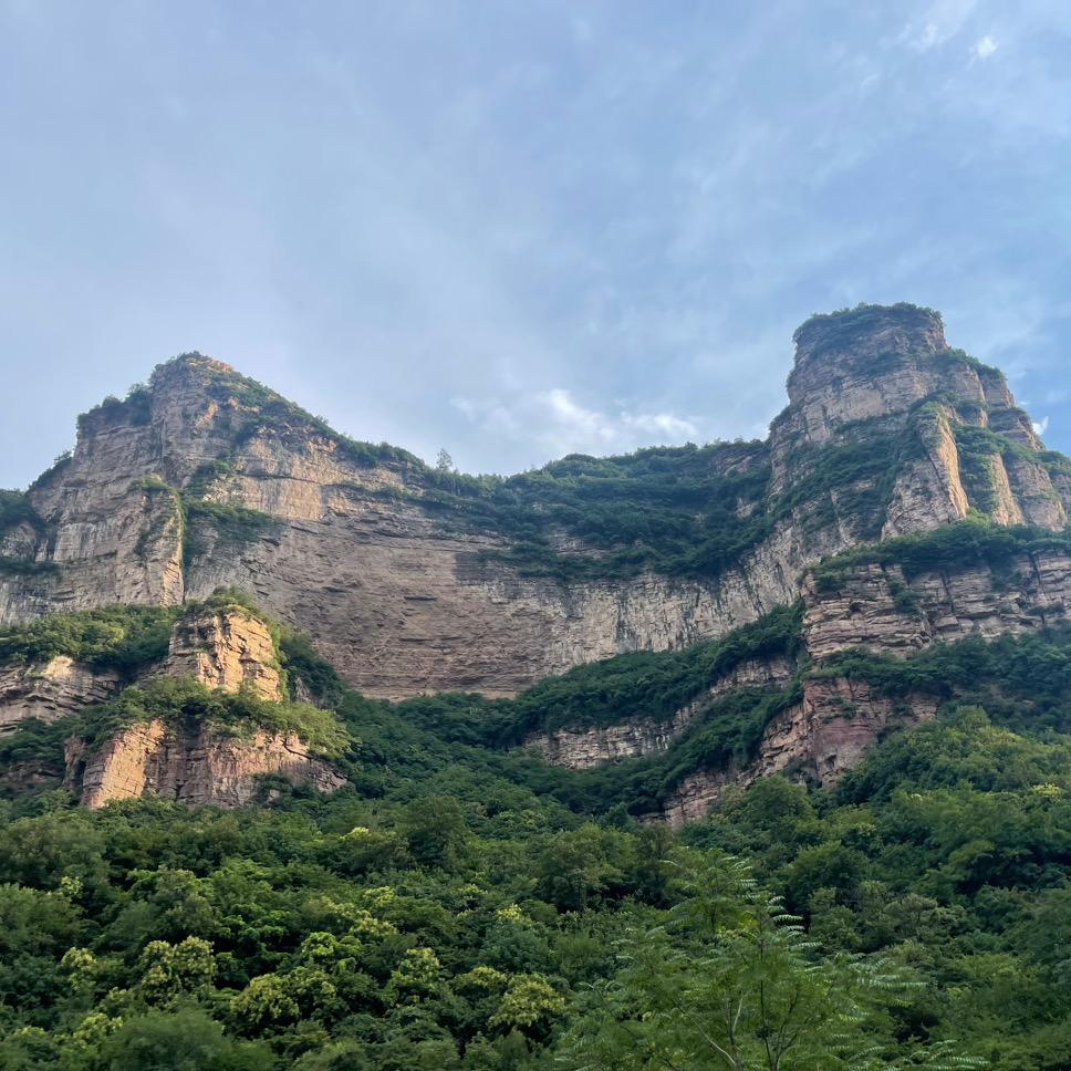 茶·文化•旅行