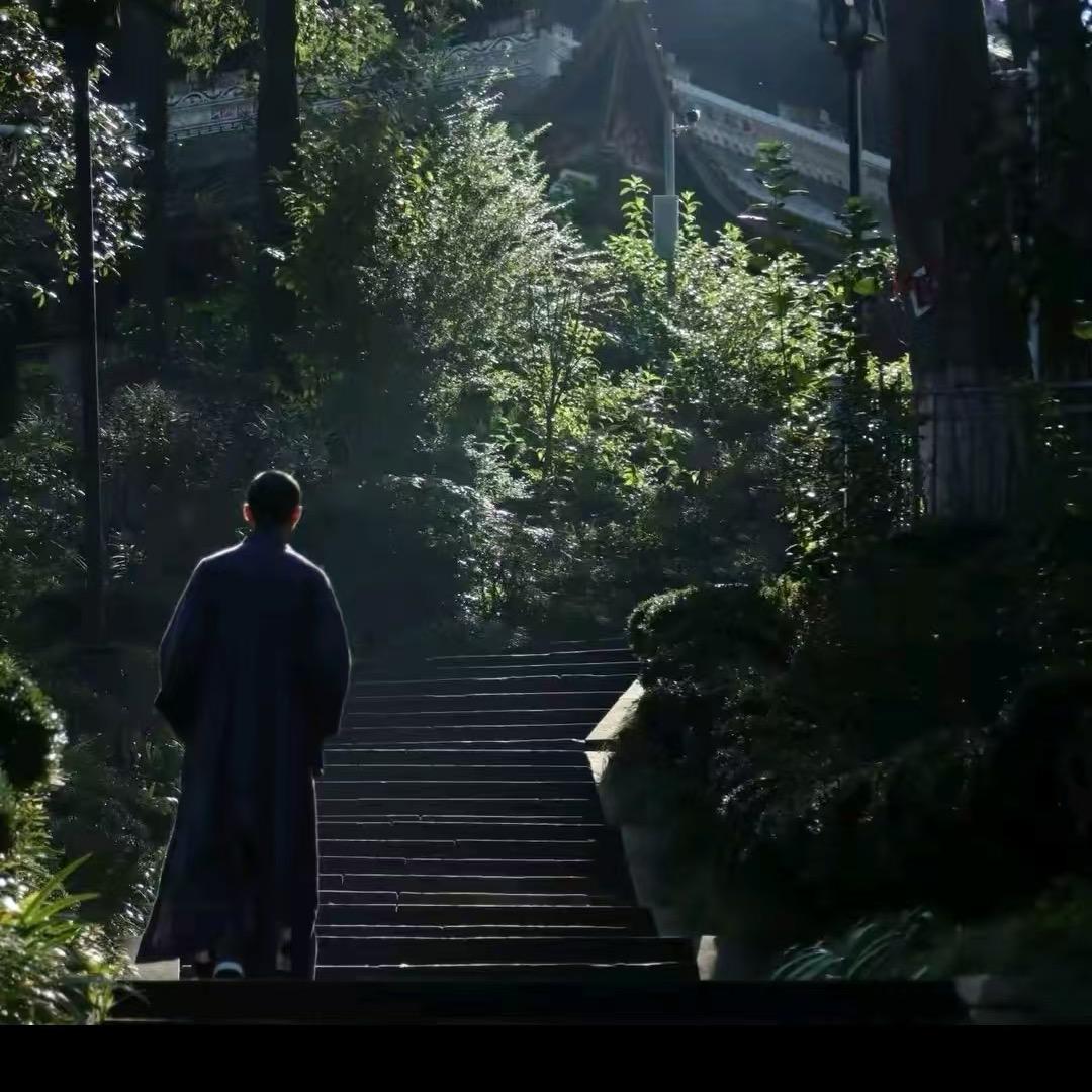 禾青子