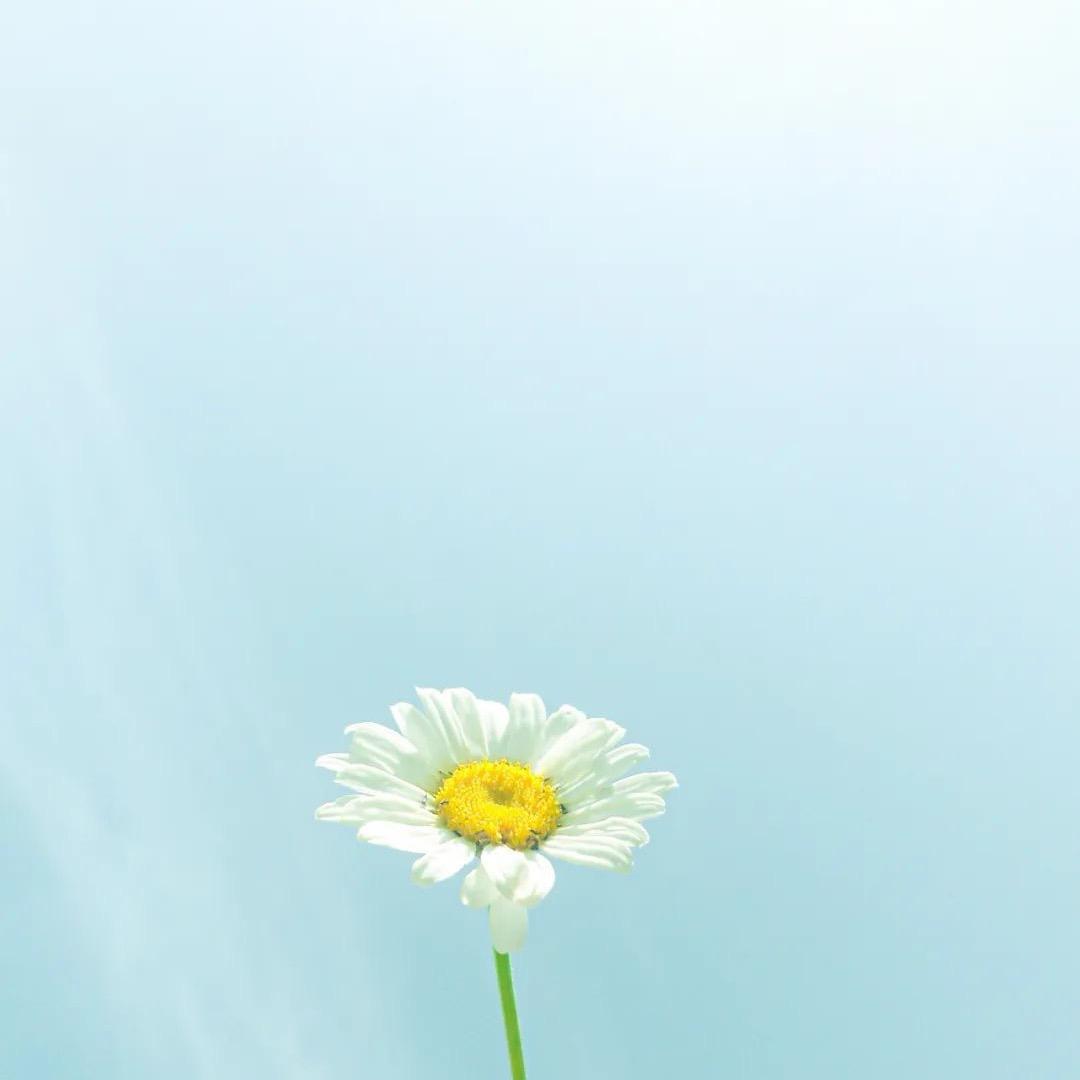 山东高考志愿规划张老师