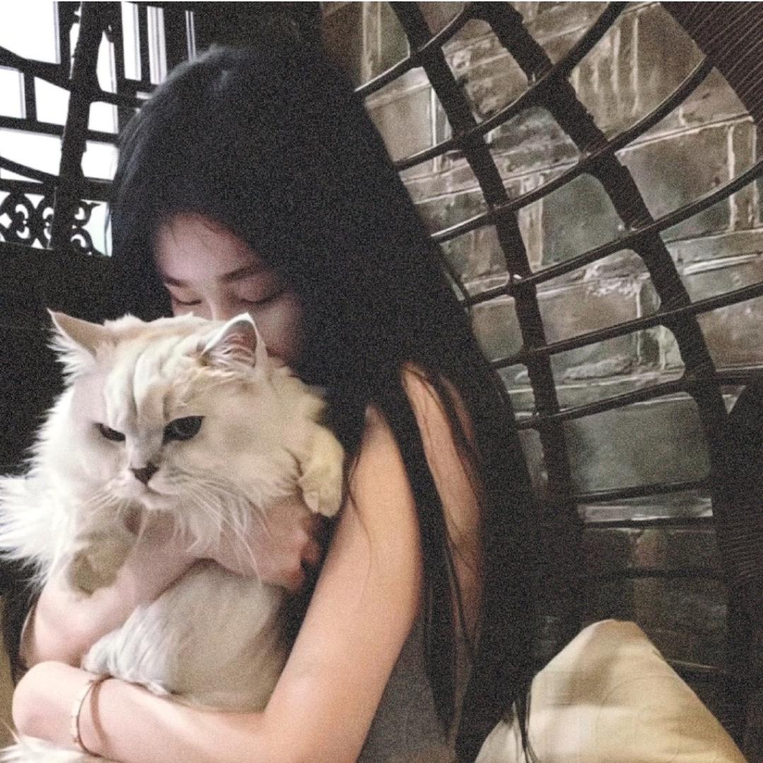 熏什么瑶