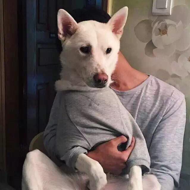 心事儿.