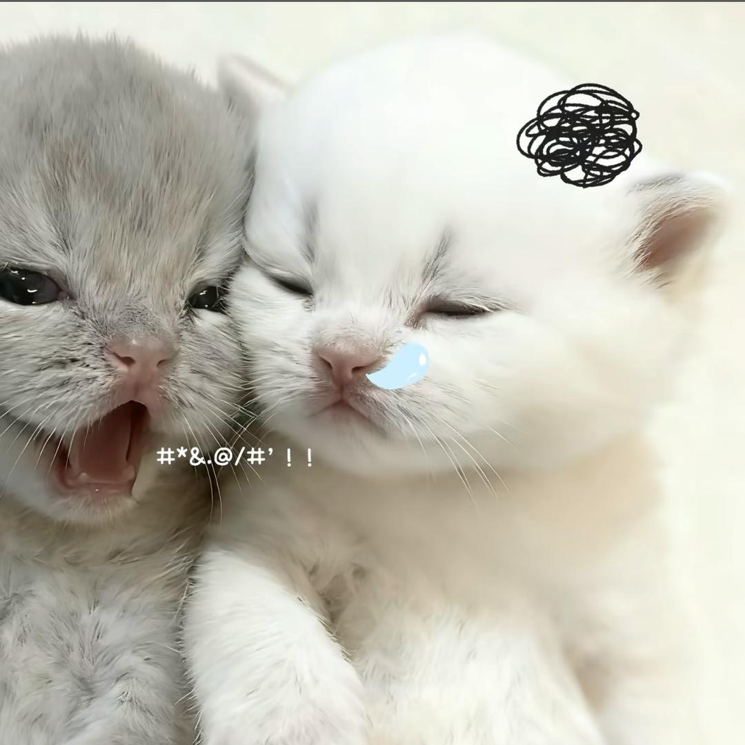 晕晕TvT